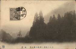 View of a mist covered trees Postcard
