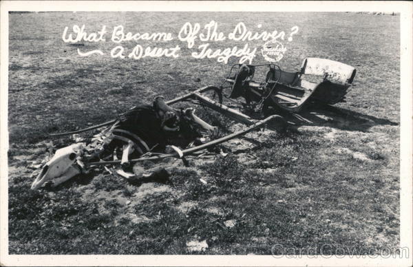 A Desert Tragedy - Skeleton and Buggy Cowboy Western