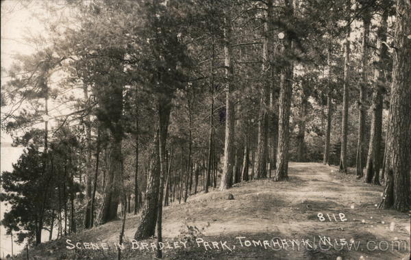 Scene in Bradley Park Tomahawk Wisconsin