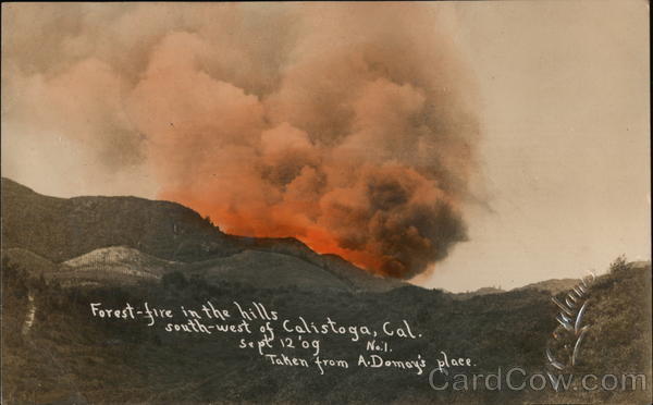 Forest Fire in the Hills Calistoga California