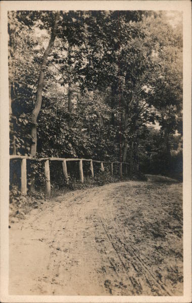 A road through the forest Maine