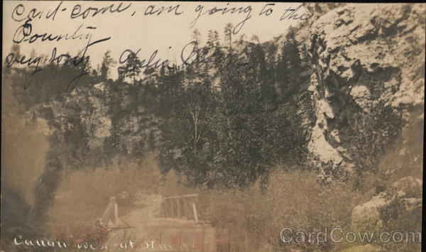 Canon West of Sturgis Michigan