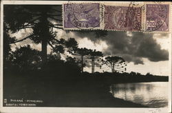 Pinheiros Postcard