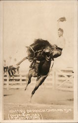 Smoky Branch - One Glass Eye Postcard