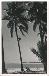 Stock #676930 Thumbnail