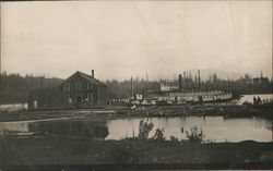 Paddle Boat Docked Postcard