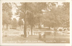 Swimming Pool at White Cabin Manor Sciota, PA Postcard Postcard Postcard