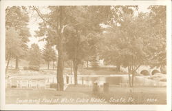Swimming Pool at White Cabin Manor Postcard