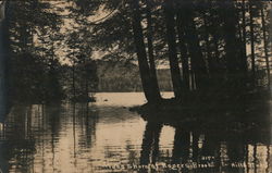 Along Shores of Rogers Brook Postcard