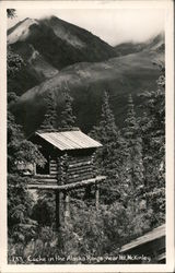 Cache in the Alaska Range near Mt. McKinley Postcard