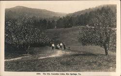 The 8th, Cascades Links Postcard