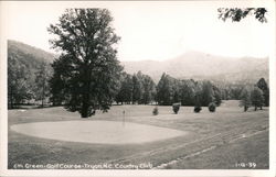 6th Green - Country Club Postcard