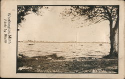 Okapella Lake Postcard