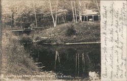 Hartsville Trout Hatchery Massachusetts Postcard Postcard Postcard