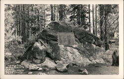 Location of the Murphy Cabin, Donner State Park Postcard