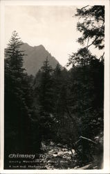 Chimney Tops at Smoky Mountain National Park Postcard