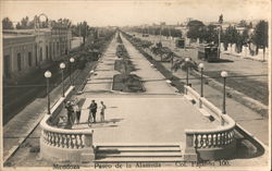 Mendoza, Paseo de la Alameda, Col. Fajardo 100. Postcard