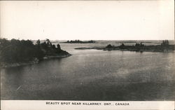 Beauty Spot Postcard