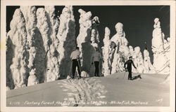 Fantasy Forest, the Big Mountain Ski Area Postcard