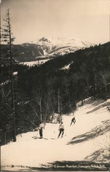 Along the Tram Alpine Trail, Cannon Mountain Franconia, NH Postcard Postcard Postcard