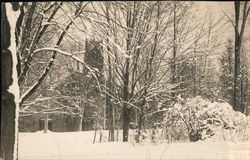 Snow in the Trees Tilton, NH Postcard Postcard Postcard