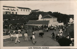 Ilha Terceira Acores Postcard