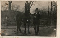 Man With a Horse Horses Postcard Postcard Postcard