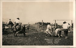Branding Cattle, Eaton's Ranch Wolf, WY Postcard Postcard Postcard