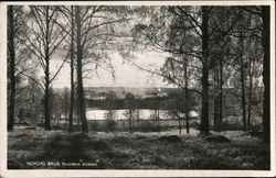 Nutidens "alvdans" Hofors, Sweden Postcard Postcard Postcard