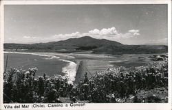 Camino a Concon - Coastal Path Viña del Mar, Chile Postcard Postcard Postcard