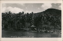 View of Waterfront Utrin, Columbia South America Postcard Postcard Postcard