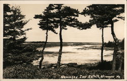 Newagen Inn Estate Postcard