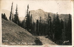 Trail to Lake Agnes Postcard
