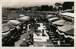 La Plage du Provencal Postcard
