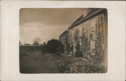 Residence With Ivy on Walls Postcard