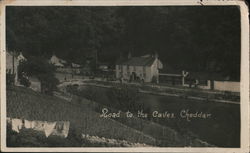 Road to Caves Cheddar, England Somerset Postcard Postcard Postcard