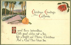 Christmas Greetings From California, Palm Drive Postcard