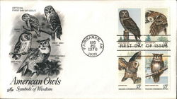 American Owls Symbols of Wisdom American Owls Symbols of Wisdom
