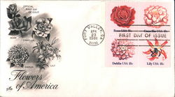 Flowers of America Flowers of America