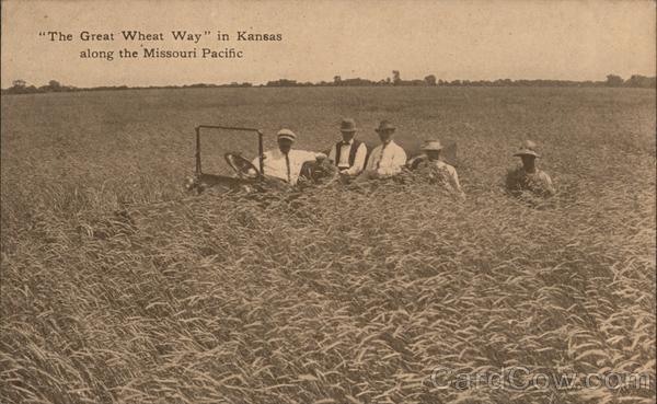 The Great Wheat Way in Kansas