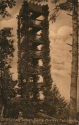 Living Tower Postcard