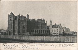 Urseline Convent Postcard