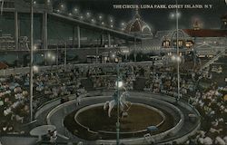 The Circus, Luna Park Coney Island, NY Postcard Postcard Postcard
