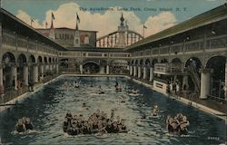The Aquadrome, Luna Park, Coney Island Brooklyn, NY Postcard Postcard Postcard