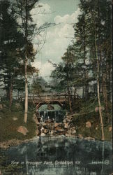 View in Prospect Park Postcard