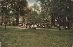 Collett Park Postcard