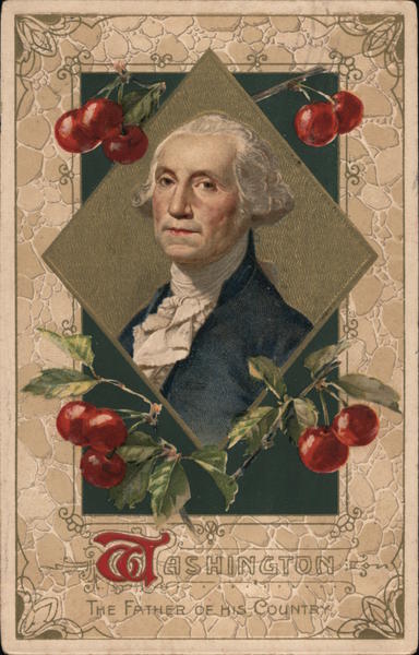 Washington, The Father of His Country Presidents