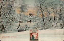 Winter Scene Postcard