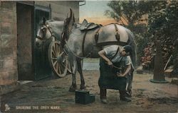 Blacksmith, Shoeing the Grey Mare Postcard