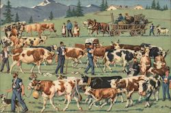 Men and Cows Postcard